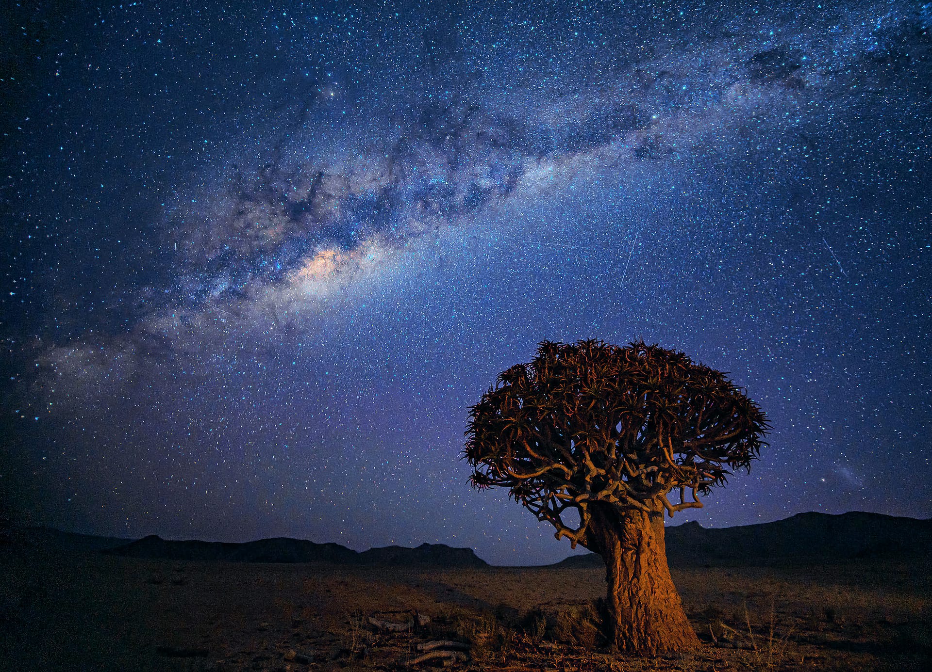 Namibia, 2023 - ∑ƉᏔ∅ᎡƉ྿∑Ꮇ∅ᎡᎽ྿ PHOTOGRAPHY